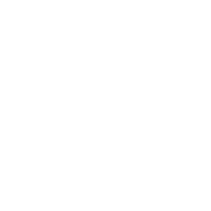 BASTIAN_SPRINGER