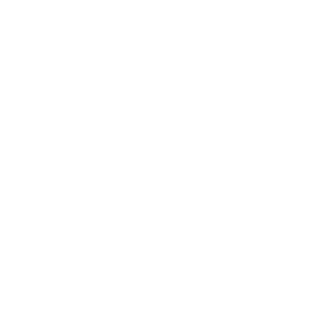 Sezer_Logo